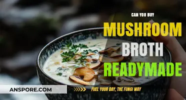 Ready-Made Mushroom Broth: Convenient Options for Quick and Flavorful Meals