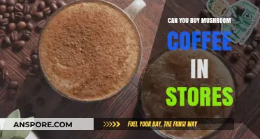 Where to Find Mushroom Coffee: In-Store Availability Explained