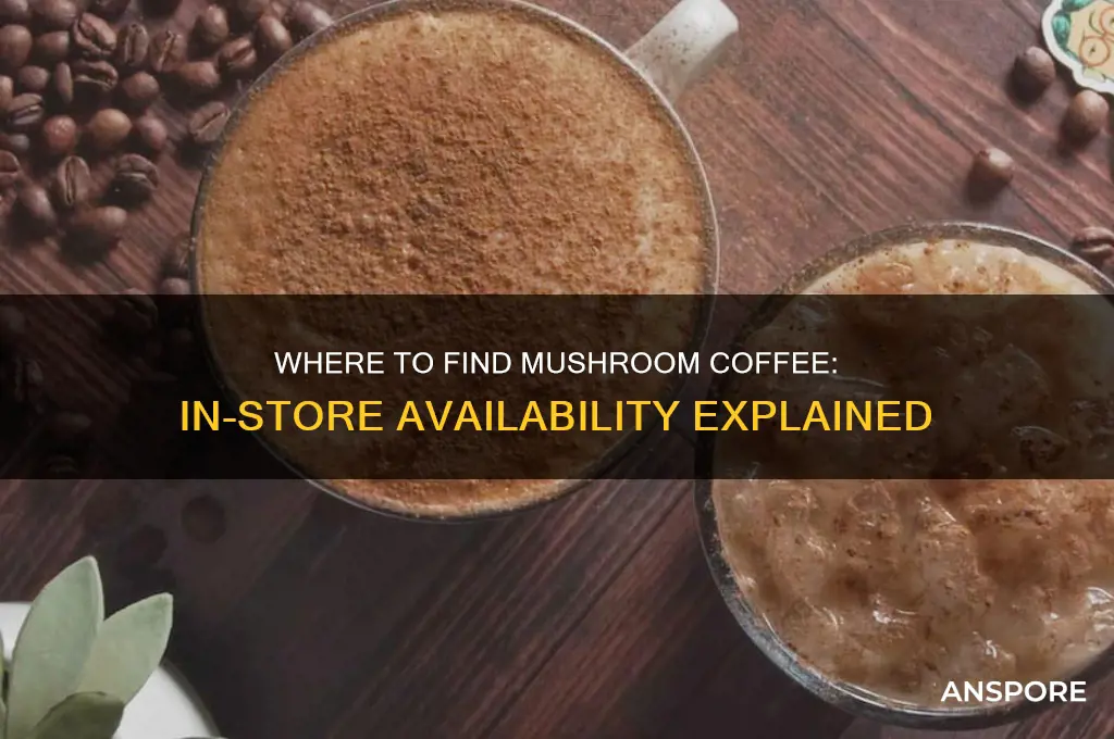 can you buy mushroom coffee in stores