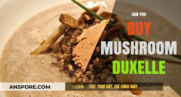 Where to Buy Mushroom Duxelles: A Gourmet's Guide to Availability