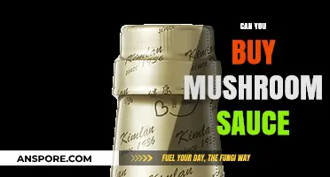 Where to Buy Mushroom Sauce: A Tasty Culinary Guide