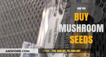 Can You Buy Mushroom Seeds? Exploring Spore Options for Growers