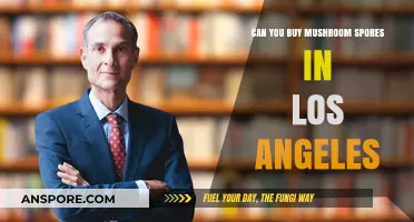 Where to Buy Mushroom Spores in Los Angeles Legally