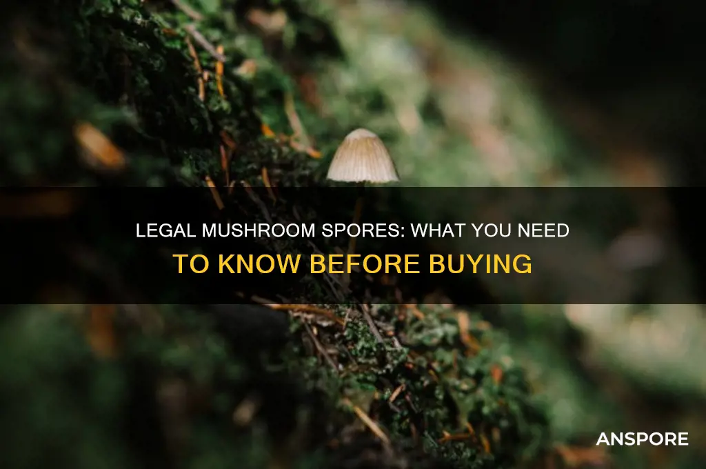 can you buy mushroom spores legally