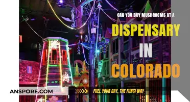 Colorado Dispensary Mushrooms: What You Need to Know
