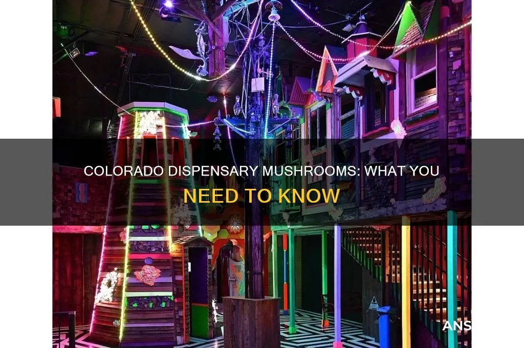 can you buy mushrooms at a dispensary in colorado