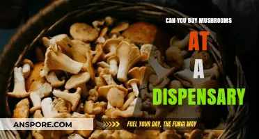 Can You Buy Mushrooms at a Dispensary? Exploring Legal Options