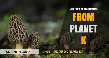 Buying Mushrooms at Planet K: What You Need to Know