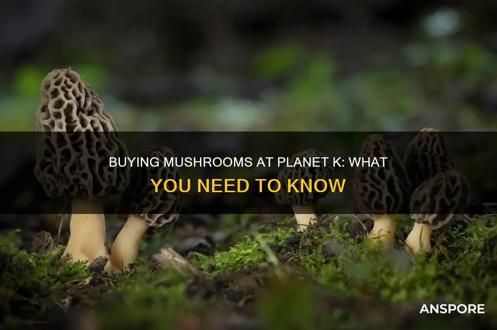 can you buy mushrooms from planet k
