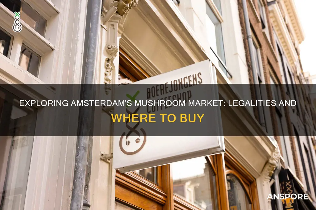 can you buy mushrooms in amestrdam