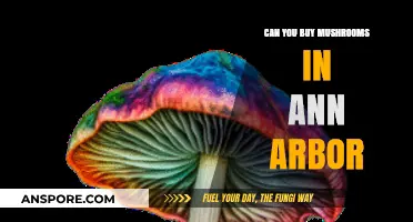 Where to Buy Mushrooms in Ann Arbor: A Local's Guide