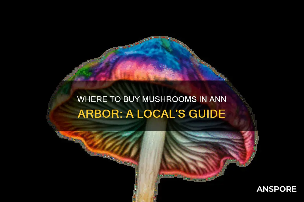 can you buy mushrooms in ann arbor