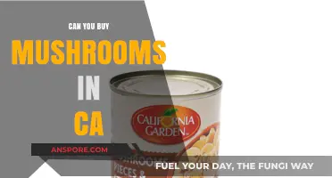 Where to Buy Mushrooms in California: Legal Options and Tips