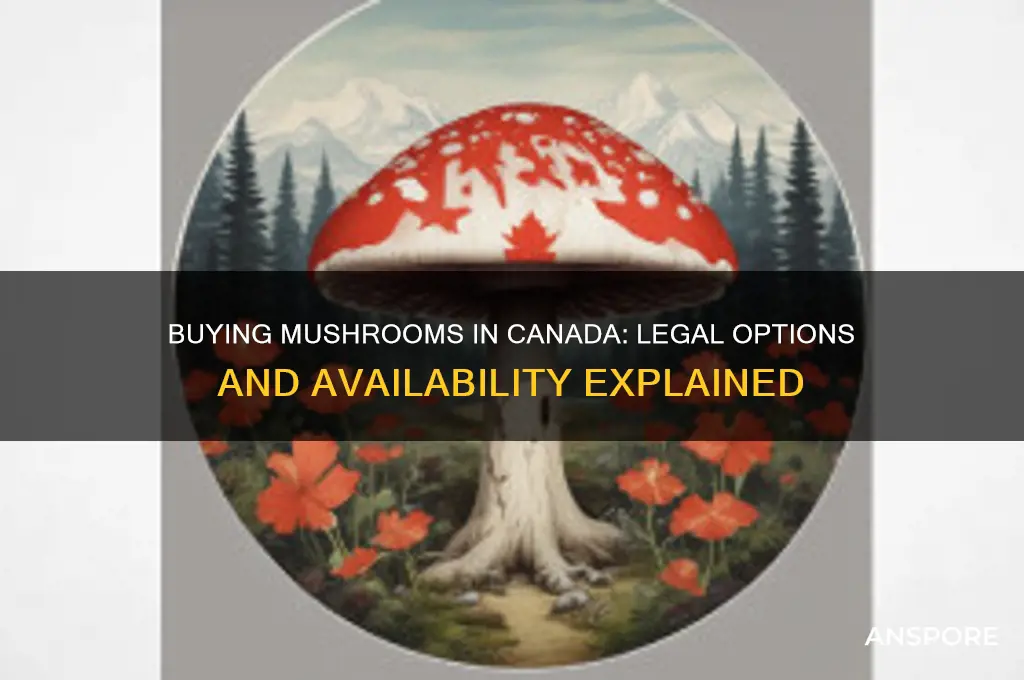 can you buy mushrooms in canada
