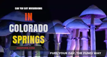 Where to Buy Mushrooms in Colorado Springs: A Comprehensive Guide