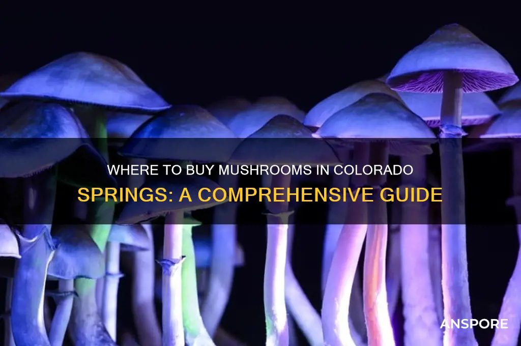 can you buy mushrooms in colorado springs