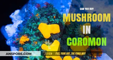 Where to Buy Mushrooms in Coromon: A Comprehensive Guide