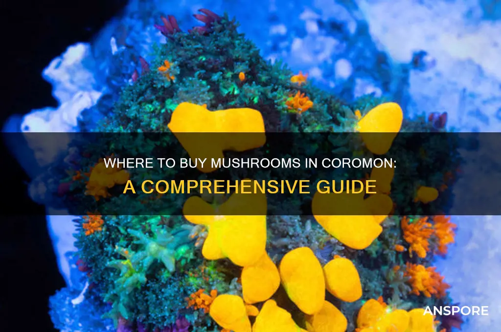 can you buy mushrooms in coromon