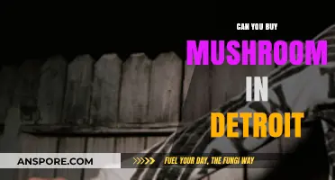 Where to Buy Mushrooms in Detroit: A Comprehensive Guide