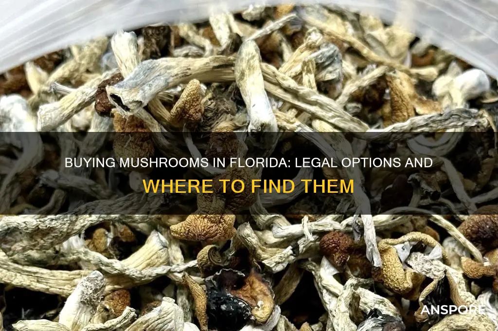 can you buy mushrooms in florida