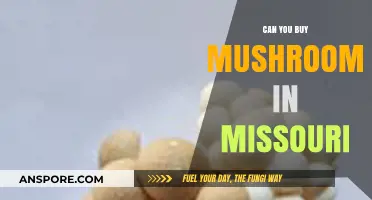 Where to Buy Mushrooms in Missouri: Legal Options and Tips