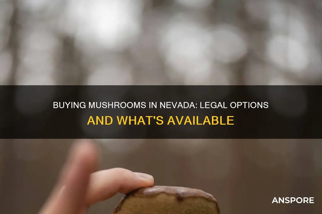 can you buy mushrooms in nevada