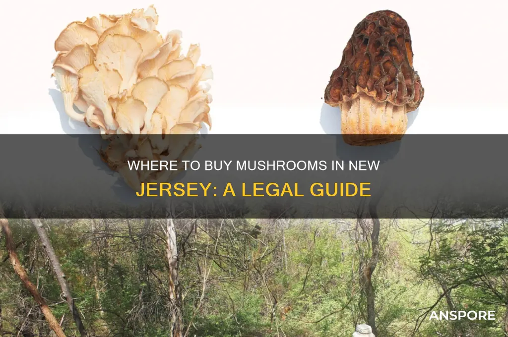 can you buy mushrooms in new jersey