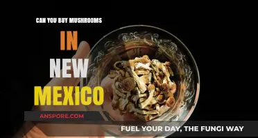 Where to Buy Mushrooms in New Mexico: A Comprehensive Guide