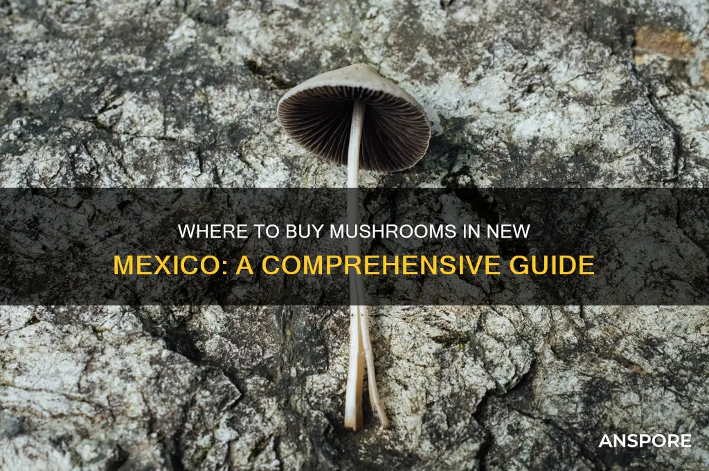 can you buy mushrooms in new mexico