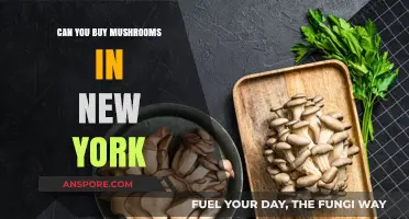 Where to Buy Mushrooms in New York: A Comprehensive Guide