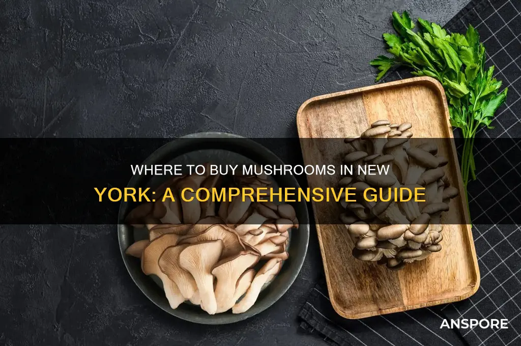 can you buy mushrooms in new york