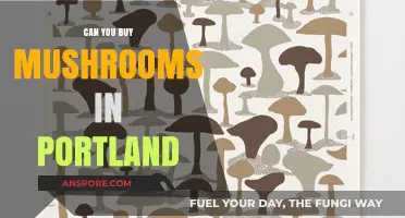Where to Buy Mushrooms in Portland: A Comprehensive Guide