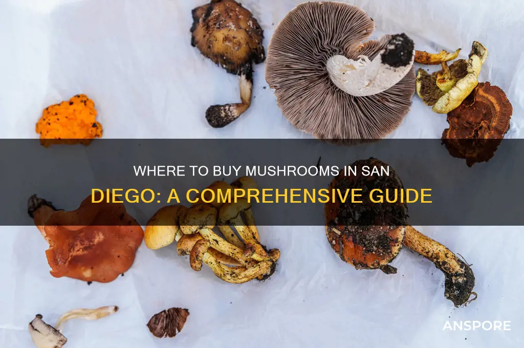 can you buy mushrooms in san diego