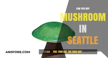 Where to Buy Mushrooms in Seattle: A Comprehensive Guide