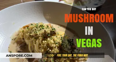Where to Buy Mushrooms in Vegas: A Comprehensive Guide