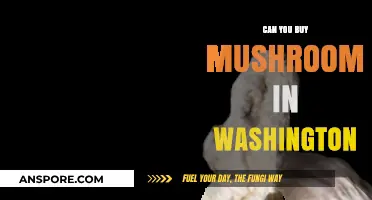 Where to Buy Mushrooms in Washington: A Legal and Practical Guide