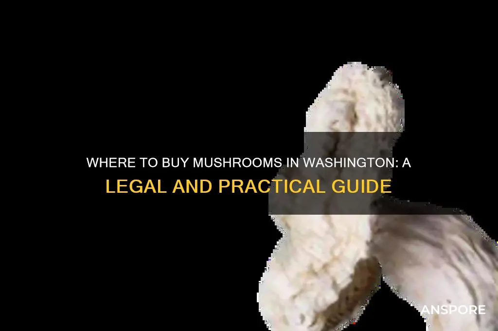 can you buy mushrooms in washington
