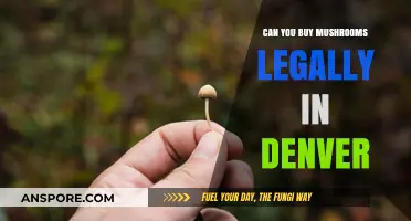 Legal Mushroom Purchases in Denver: What You Need to Know