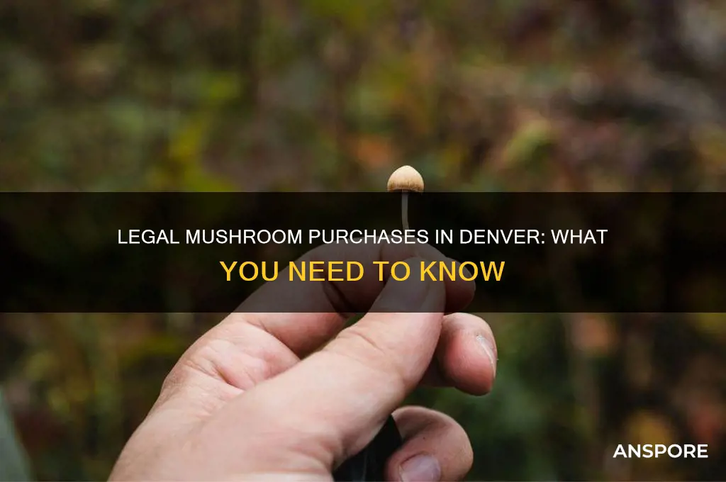 can you buy mushrooms legally in denver