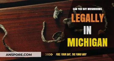 Legal Mushroom Purchases in Michigan: What You Need to Know