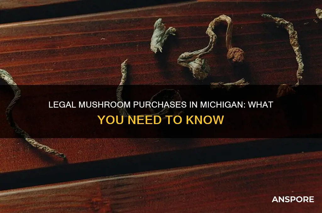 can you buy mushrooms legally in michigan