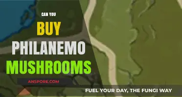 Where to Find Philanemo Mushrooms: Can You Buy Them?