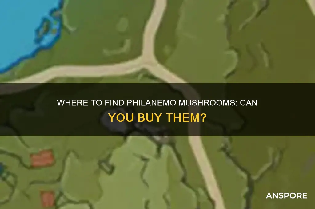 can you buy philanemo mushrooms