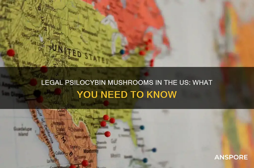 can you buy phyclocyben mushrooms legally in the us
