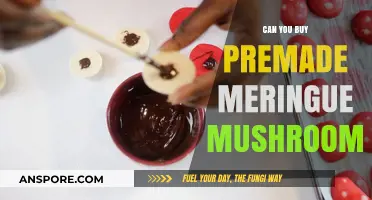 Where to Find Premade Meringue Mushrooms for Easy Dessert Decorating