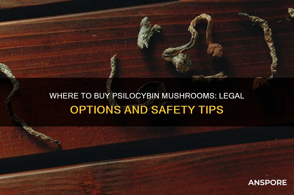 can you buy psilocybin mushroom