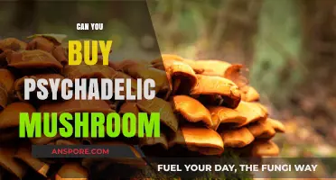 Exploring the Legality of Purchasing Psychedelic Mushrooms: What You Need to Know