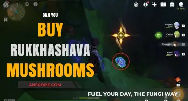 Where to Find Rukkhashava Mushrooms: Buying Guide and Tips