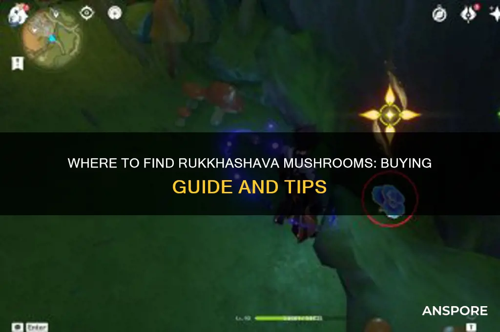 can you buy rukkhashava mushrooms