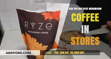 Where to Find Ryze Mushroom Coffee: In-Store Availability Guide